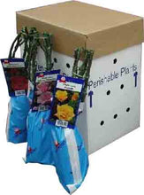 Charger l'image dans la galerie, Rosa Queen Elisabeth, een absolute klassieker voor elke tuin.