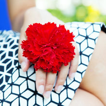 Afbeelding in Gallery-weergave laden, Begonia fimbriata scharlaken rood