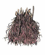 Afbeelding in Gallery-weergave laden, Astilbe voldoet het best op een halfbeschaduwde plaats. Astilbe kan ook in de volle zon geplaatst worden, zolang de bodem koel, fris en vochtig is.