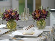 Afbeelding in Gallery-weergave laden, Tulp Dubbele Late Black Hero. Vrij recente soort, kruising met oa Queen of Night. Levert een prachtige donkere, bijna zwarte dubbele tulp op met mooie zijdeachtige glans.