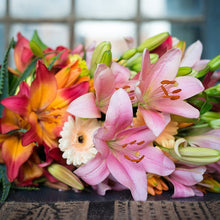 Afbeelding in Gallery-weergave laden, Gemengde lelies, altjid een topper. In de tuin of als snijbloem