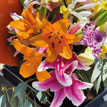 Afbeelding in Gallery-weergave laden, lelie bollen zijn makkelijk te planten en bieden enorm veel plezier. De bollen zijn volledig wintervast en geven prachtige bloemen, die ook geschikt zijn als snijbloem.