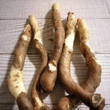 Afbeelding in Gallery-weergave laden, gloriosa wortels, hollands geteeld