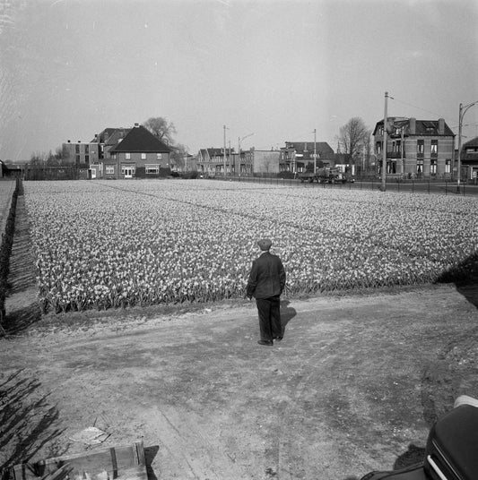 Uit de oude doos,