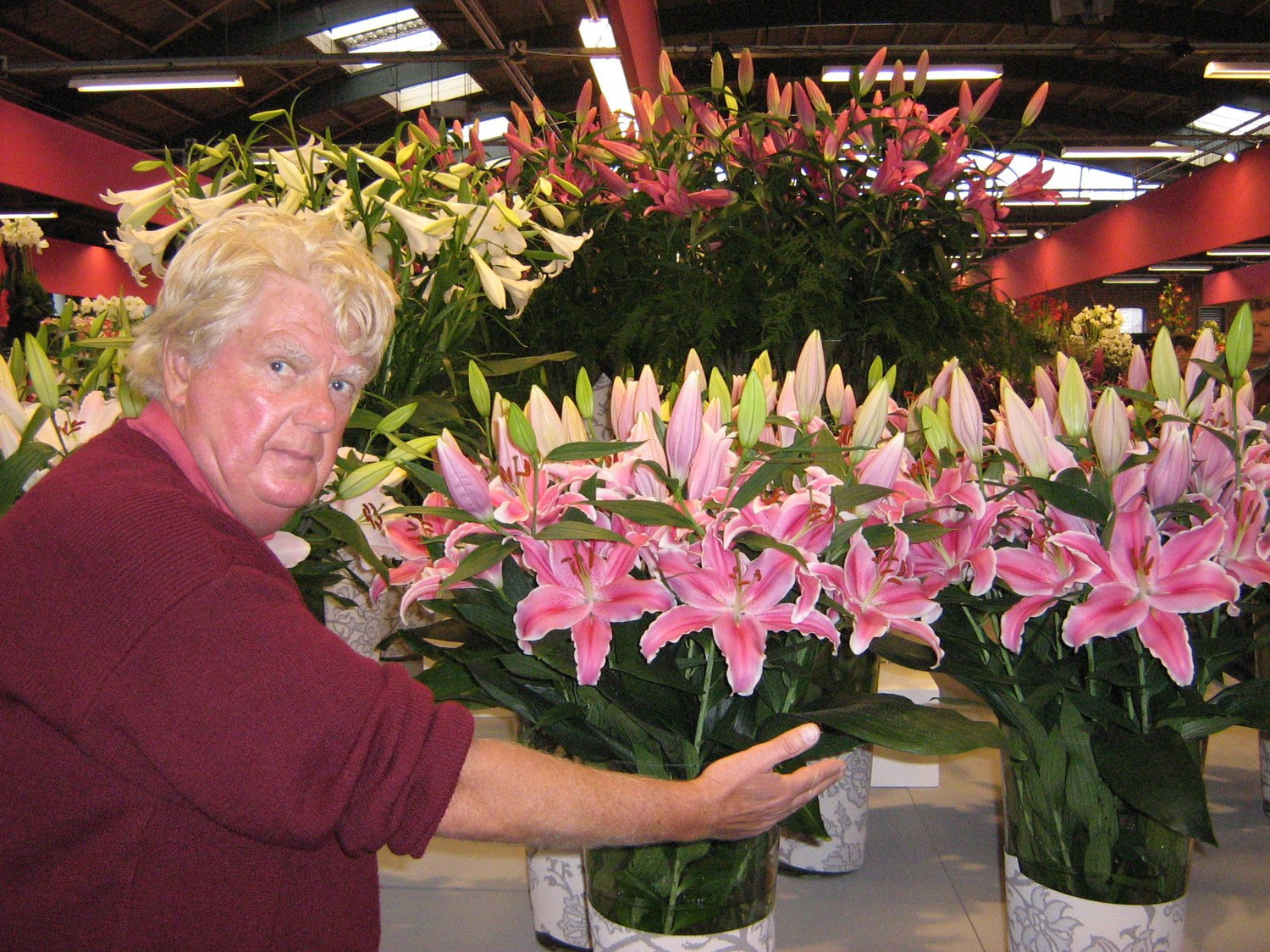 Lelies (Lilium is het latijn)