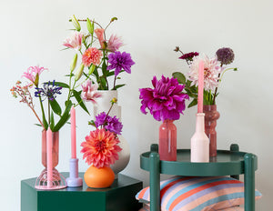 Als snijbloem is de Dahlia populair om zijn mooie, felle kleuren en de lange rechte stelen