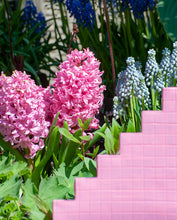 Lade das Bild in den Galerie-Viewer, Zeer aromatische geur · Mooie roze bloemen 
