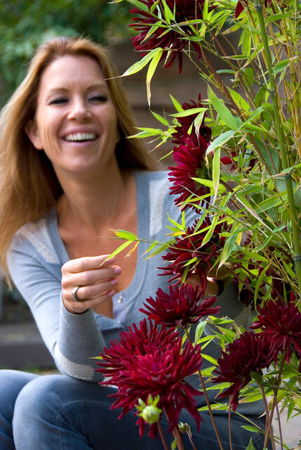 Voor een zomer vol bloemen, plant ze nu!  
