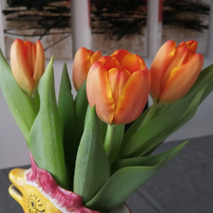 Tulp Darwin Triple A           Mooie grote sterke oranje bloemen op een sterke steel.  De perfect tulp voor te gebruiken als snijbloem.