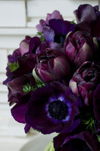 Afbeelding in Gallery-weergave laden, Combinatie van Black Hero en donkere Anemonen.  Bestel je tulpen nu eenvoudig online en plant dit ze dit najaar voor een mooie kleurrijke tuin
