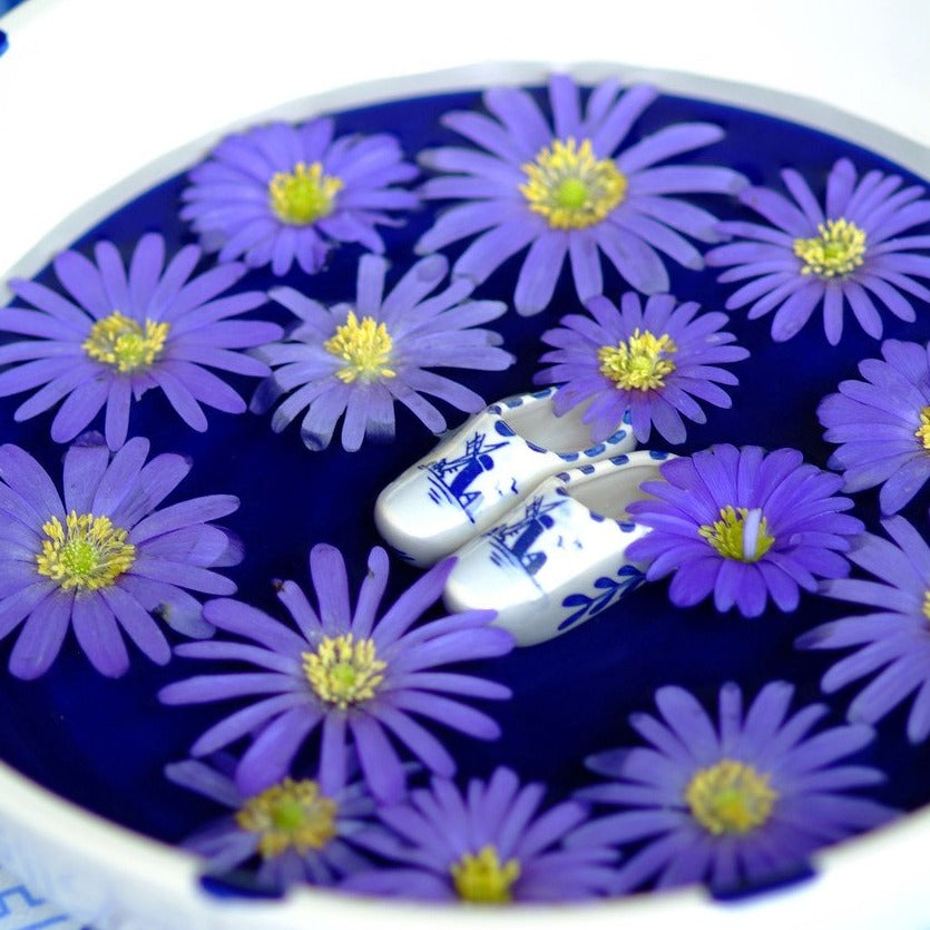 Anemoon  blue Shades. Zeer geschikt voor verwildering of om te combineren met andere bolgewassen.
