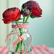 Afbeelding in Gallery-weergave laden, Ranunculus  (of ranonkel) staan mooi in elke tuin of terras, maar zijn ook mooie snijbloemen.  
