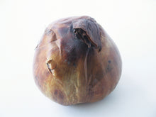 Lade das Bild in den Galerie-Viewer, de bol van een Colchicum (Herfsttijloos) 
