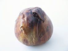 Afbeelding in Gallery-weergave laden, de bol van een Colchicum (Herfsttijloos) 
