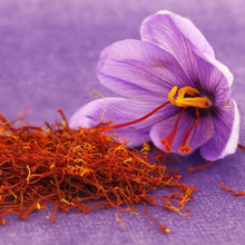 Lade das Bild in den Galerie-Viewer, Krocus Sativus    De echte saffraankrocus. Mooie violet-paarse bloemen waarvan u de meeldraden kan oogsten als saffraan. 
